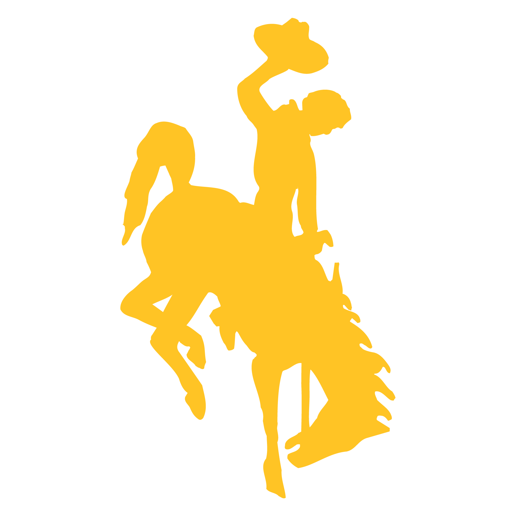 UW Icon